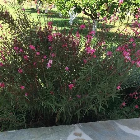 Апартаменты Kardiakafti Village Gastouni