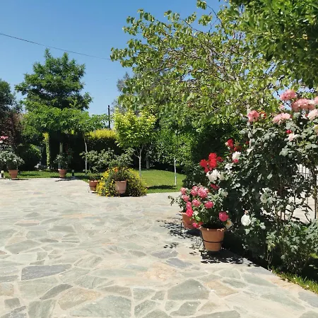 Kardiakafti Village * Gastouni