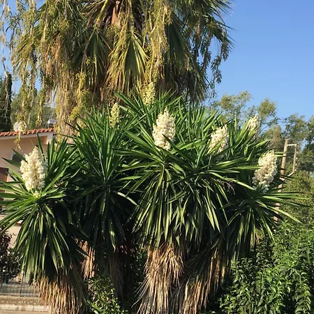 アパート Kardiakafti Village *