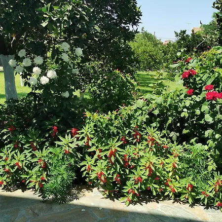 Kardiakafti Village アパート