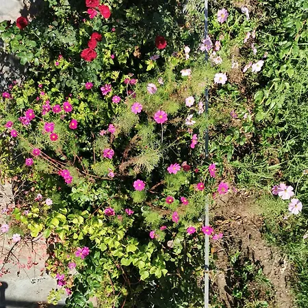 Kardiakafti Village アパート Gastuni