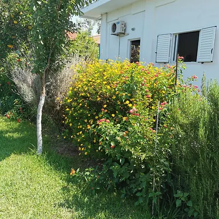 Апартаменты Kardiakafti Village *