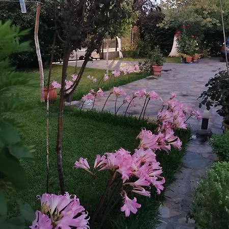 Kardiakafti Village Gastuni