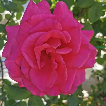 Kardiakafti Village Апартаменты