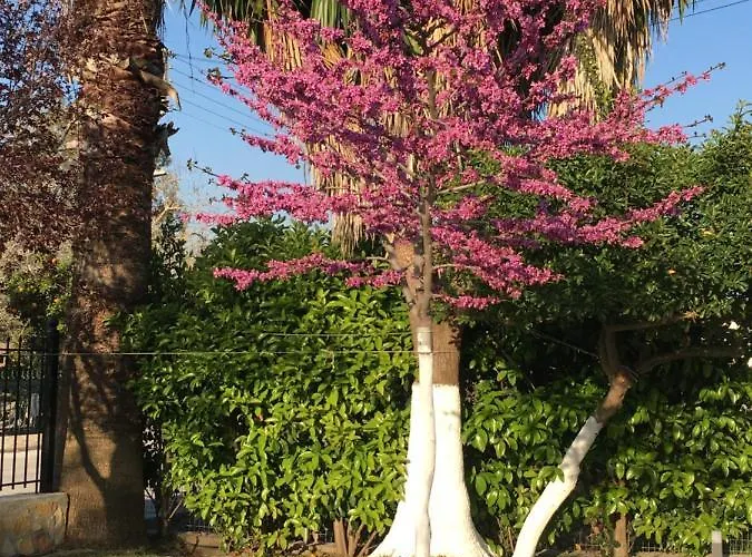 Kardiakafti Village Lägenhet *