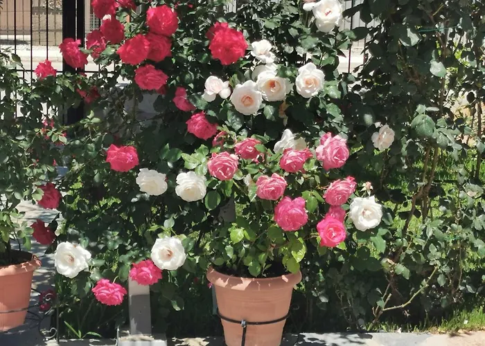 Kardiakafti Village Lägenhet Gastuni