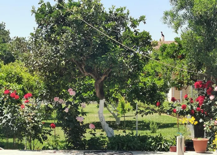 Lägenhet Kardiakafti Village Gastuni