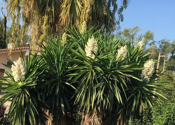 Lägenhet Kardiakafti Village *