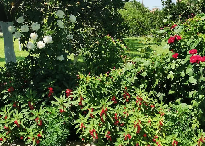 Kardiakafti Village Lägenhet