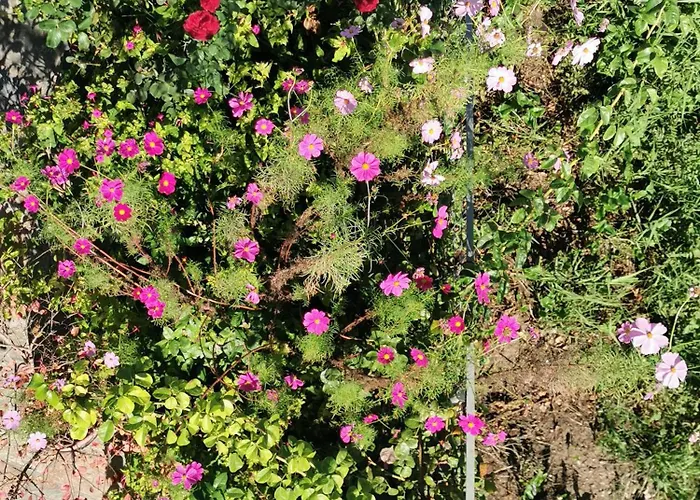 Kardiakafti Village Lägenhet Gastuni