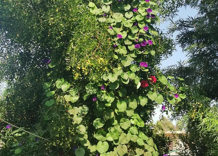 Kardiakafti Village Lägenhet *