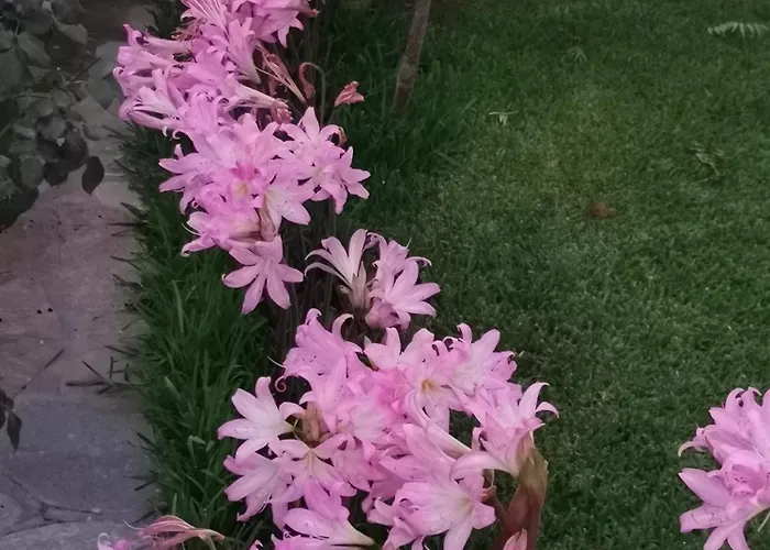 Kardiakafti Village Gastuni