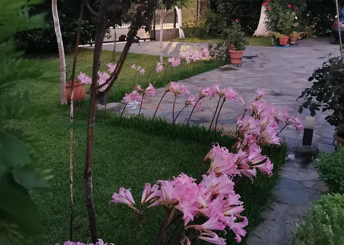 Kardiakafti Village Gastuni