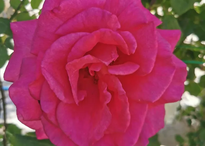 Kardiakafti Village Lägenhet